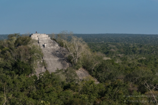 Mexico's least crowded Maya ruins selfie spot - Calakmul